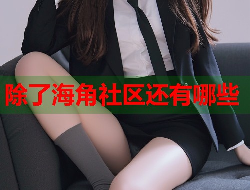 除了海角社区还有哪些  第1张